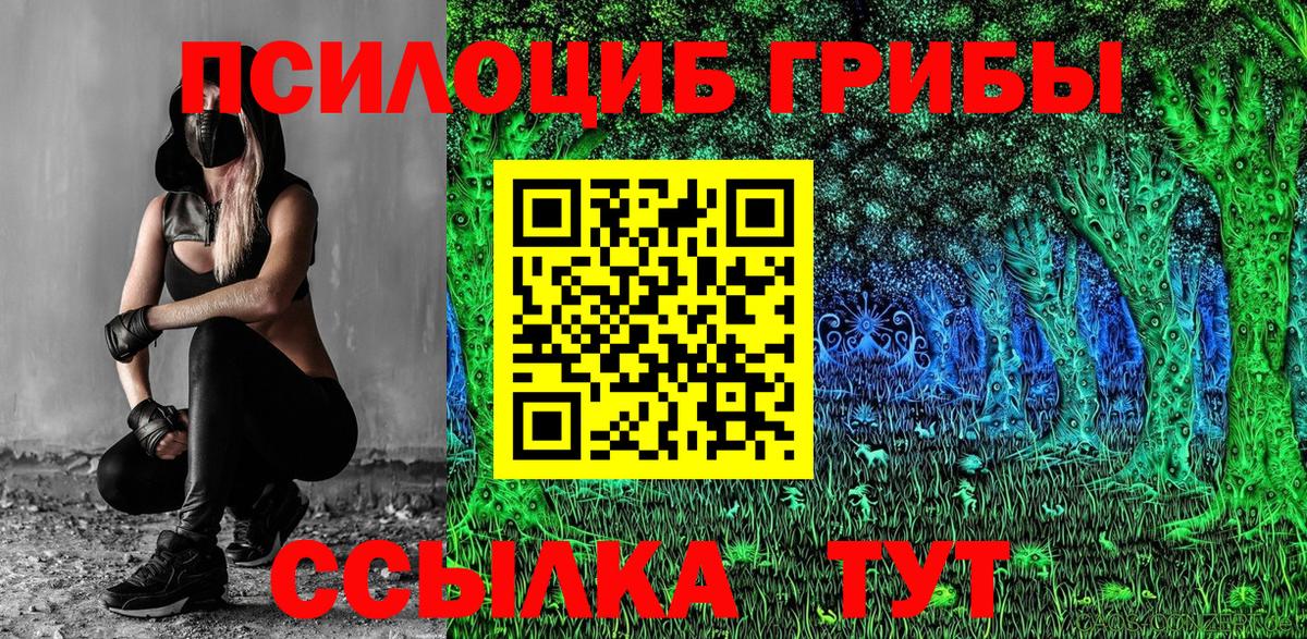 Вологда  Галлюциногенные грибы Psilocybine cubensis  Вход с VPN 