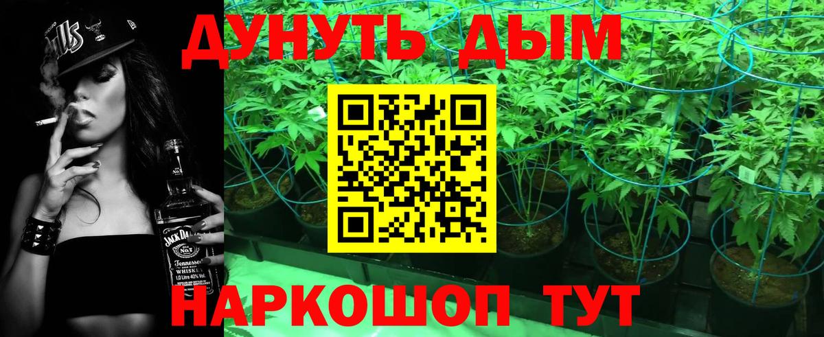 Канабис White Widow  Каннабис White Widow  МАРИХУАНА VHQ  Вологда  Вход с VPN  Марихуана тримм 